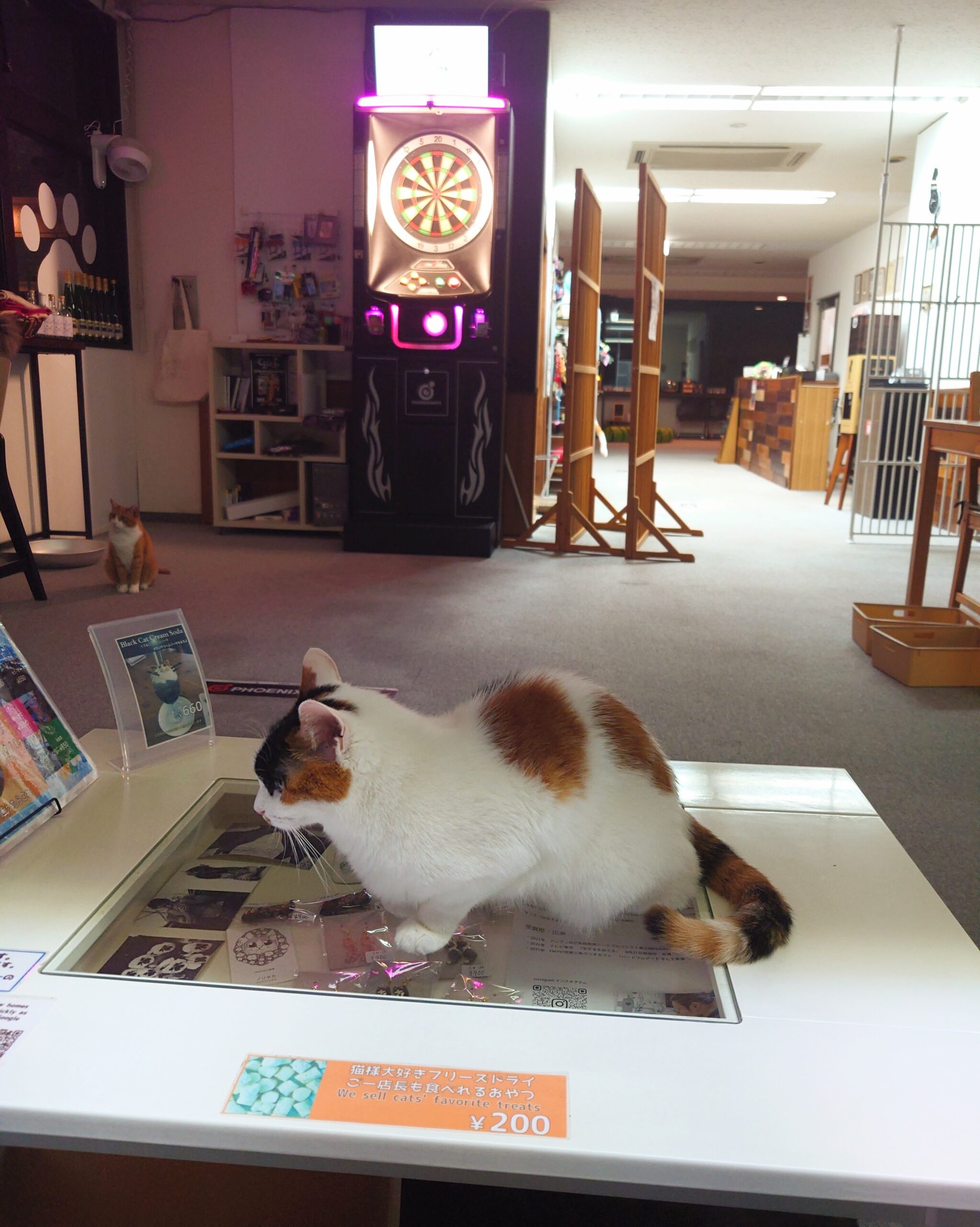 楽neko darts cafe